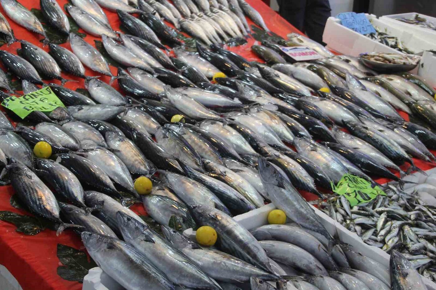 Ordu’da 2 gündür etkili