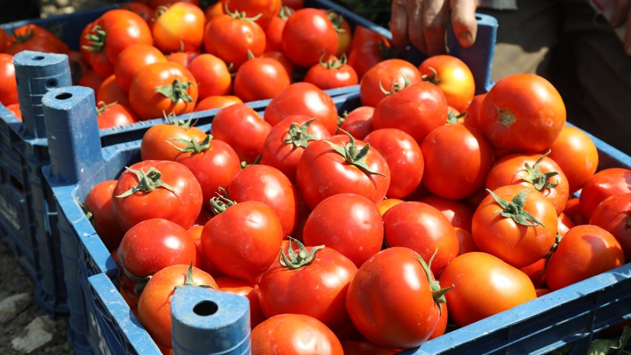 Türkiye'den yılın 10 ayında,