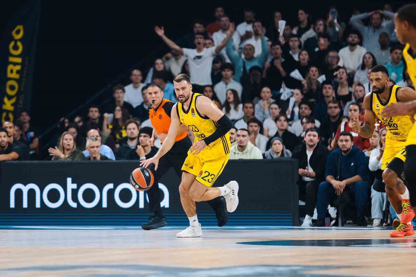 Fenerbahçe Beko, THY Euroleague