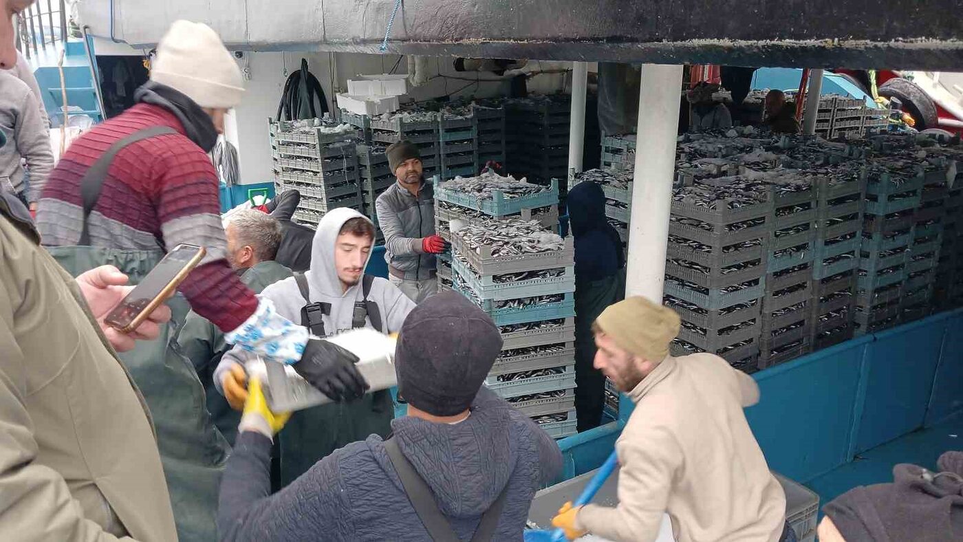 Düzce’nin Akçakoca ilçesinde yakalanan