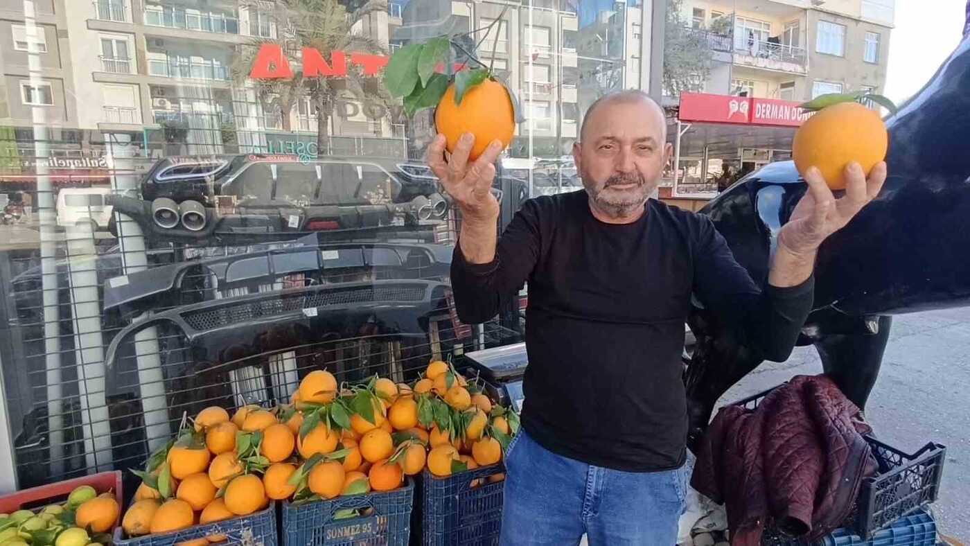 Antalya’nın Manavgat ilçesinde tanesi