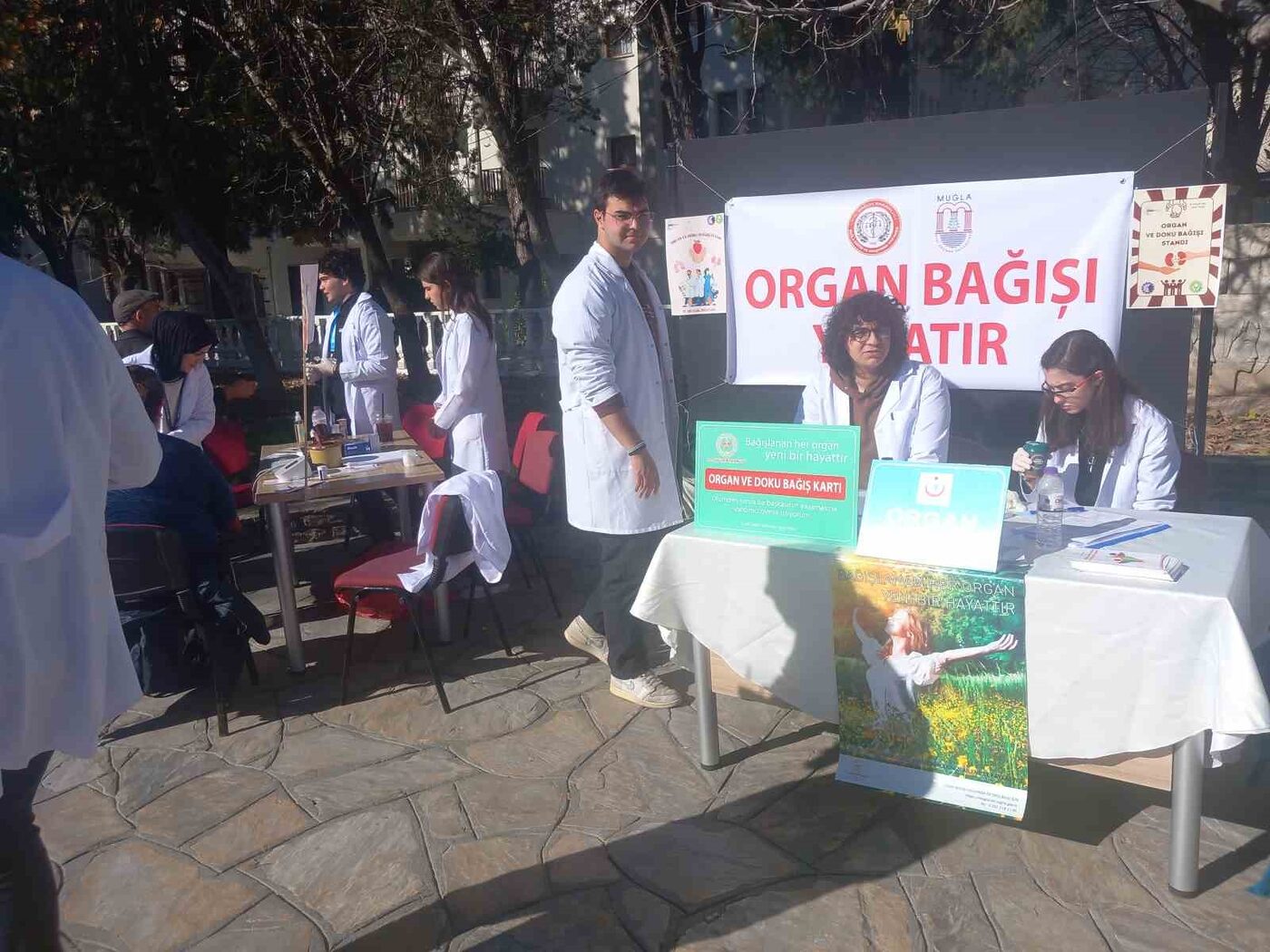 Muğla Sınırsızlık Meydanı’nda, organ