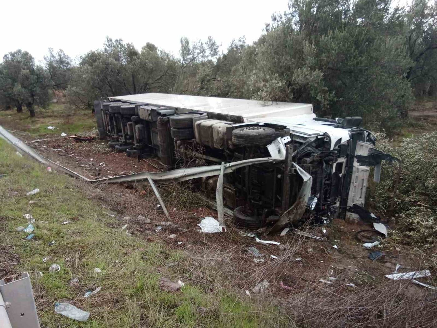 Balıkesir’in Ayvalık ilçesinde bir