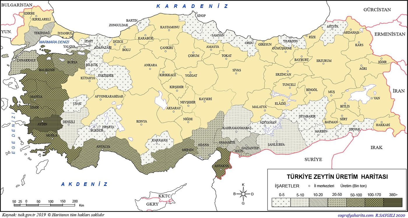 Türkiye'de en çok zeytin üreten şehirler TÜİK 2024 verilerine göre