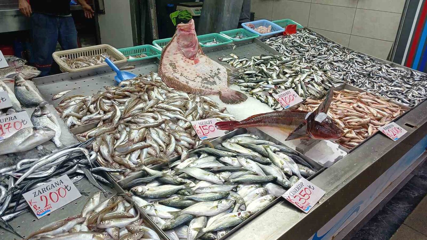 Batı Karadeniz’de yer alan Düzce’nin Akçakoca ilçesinde balık tezgahları şenlendi.