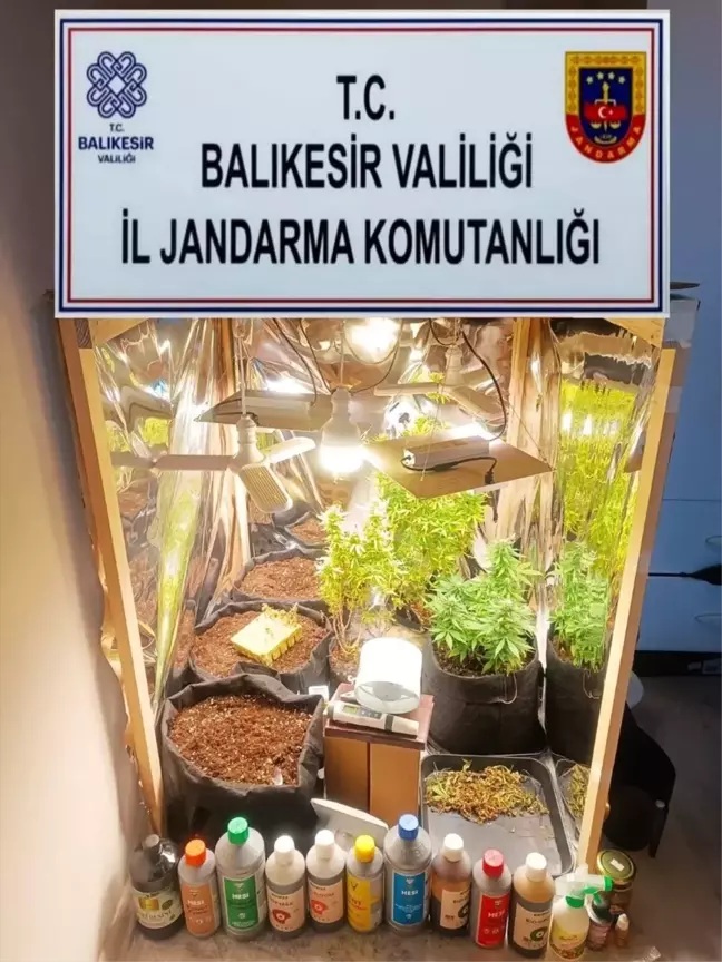 Balıkesir il genelinde jandarma tarafından gerçekleştirilen 24 ayrı kaçakçılık operasyonunda,