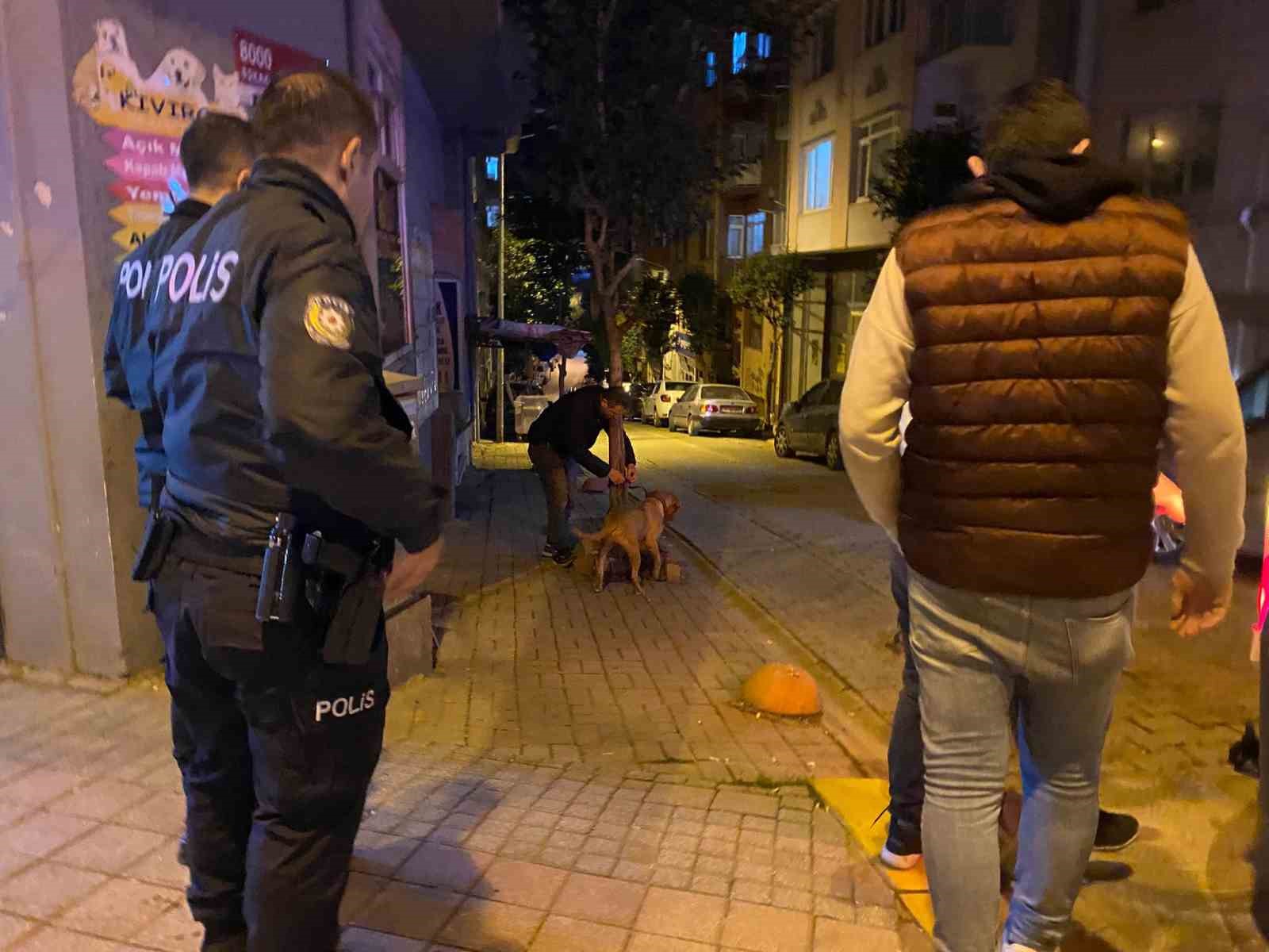 Balıkesir’in Bandırma ilçesinde, sahibinin elinden kurtulan pitbull sokak köpeğine saldırdı