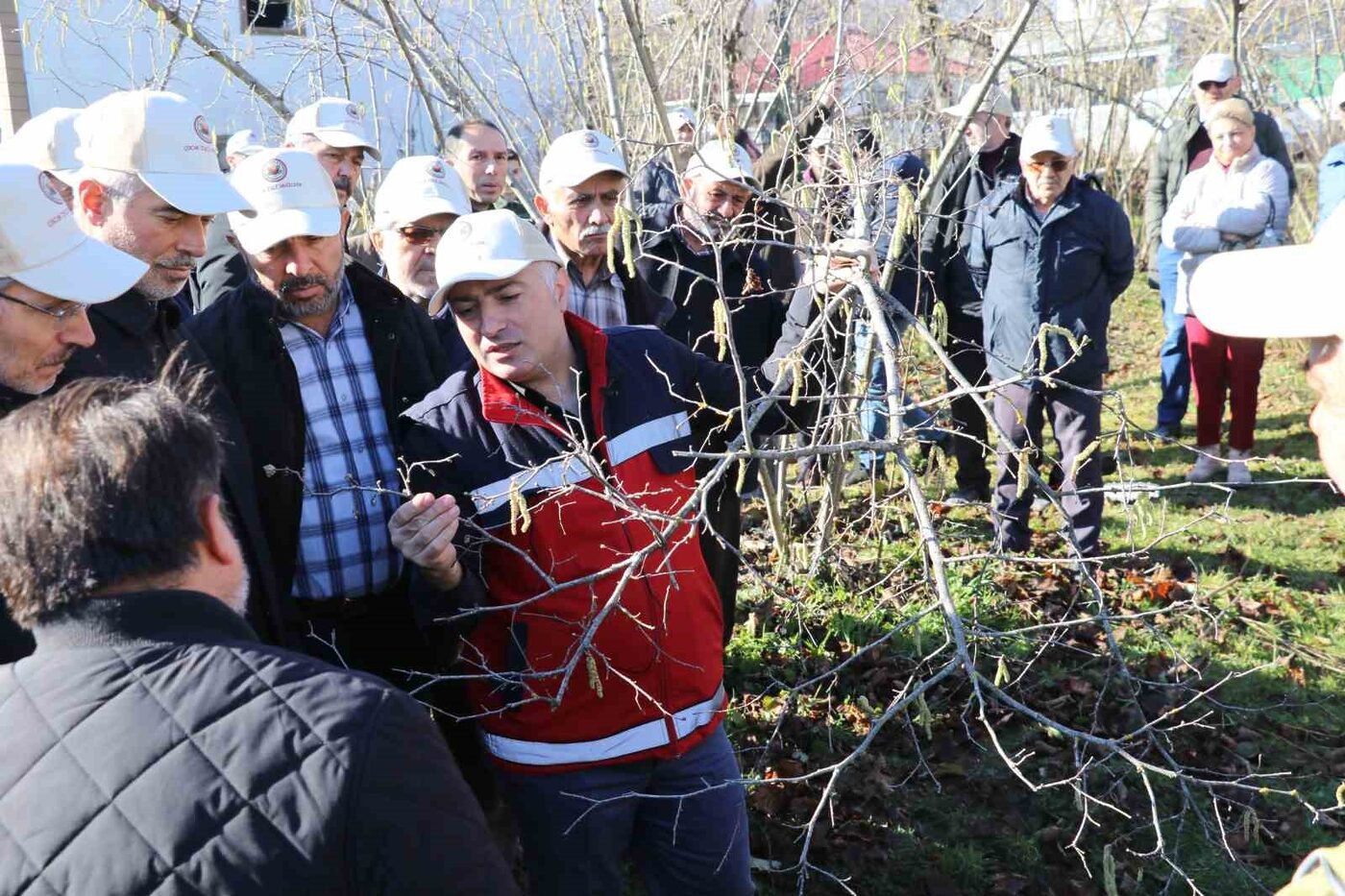 Samsun’un Terme ilçesinde üreticilerin katılımıyla fındık budama yarışması yapıldı. Yarışma