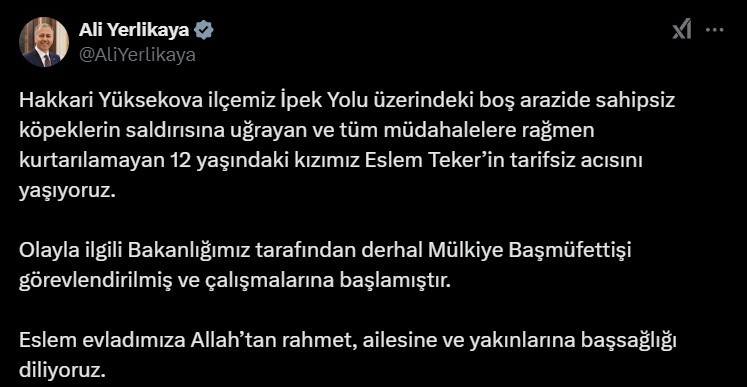 İçişleri Bakanı Ali Yerlikaya, Hakkari’nin Yüksekova ilçesinde sahipsiz sokak köpekleri