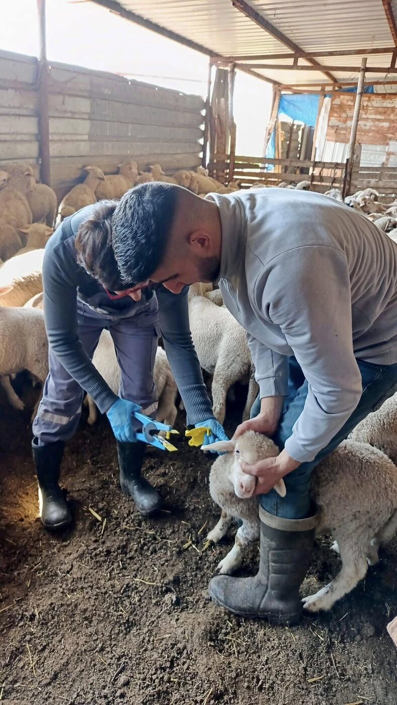 Tarım ve Orman İl Müdürlüğü teknik personeli vatandaşlara eğitim vermeye