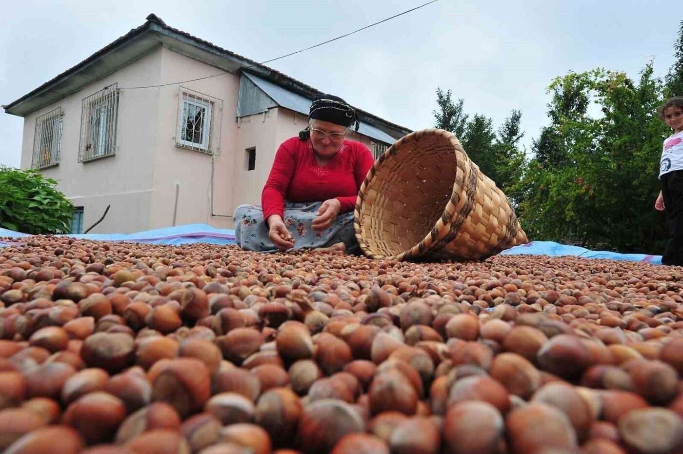 DÜZCE(İHA) – Düzce’den ocak ve şubat aylarında Avrupa Birliği (AB)