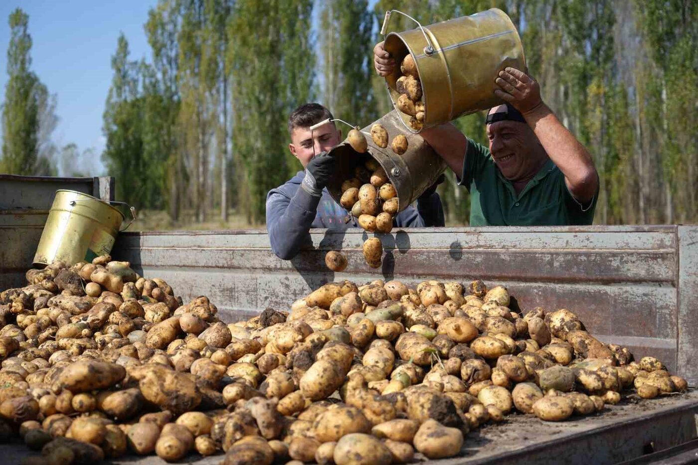 Tarımsal girdi fiyat endeksi (Tarım-GFE) yıllık yüzde 30,49 arttı, aylık