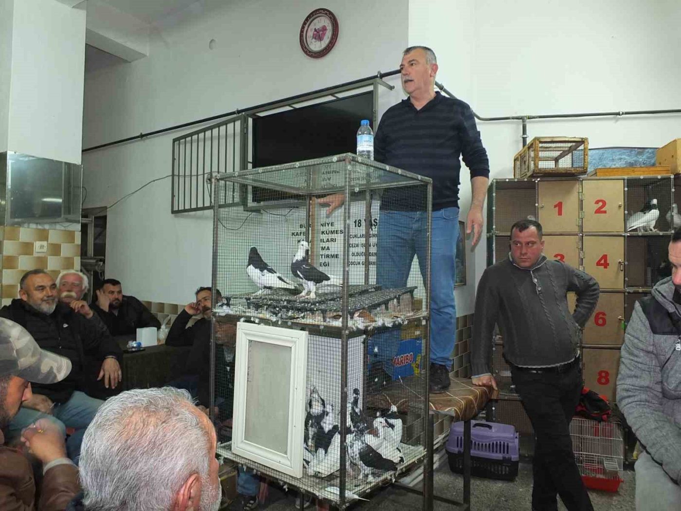 Balıkesir’in Burhaniye ilçesinde, Kafes ve Kümes Kanatlıları Yaşatma ve Geliştirme