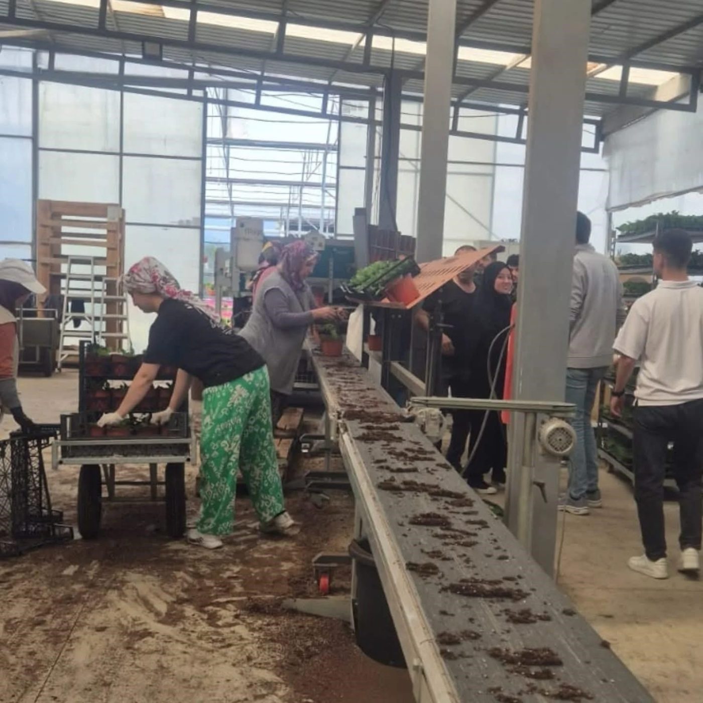 Balıkesir Üniversitesi Havran Meslek Yüksekokulu öğrencileri, teorik bilgilerini pratiğe dönüştürmek