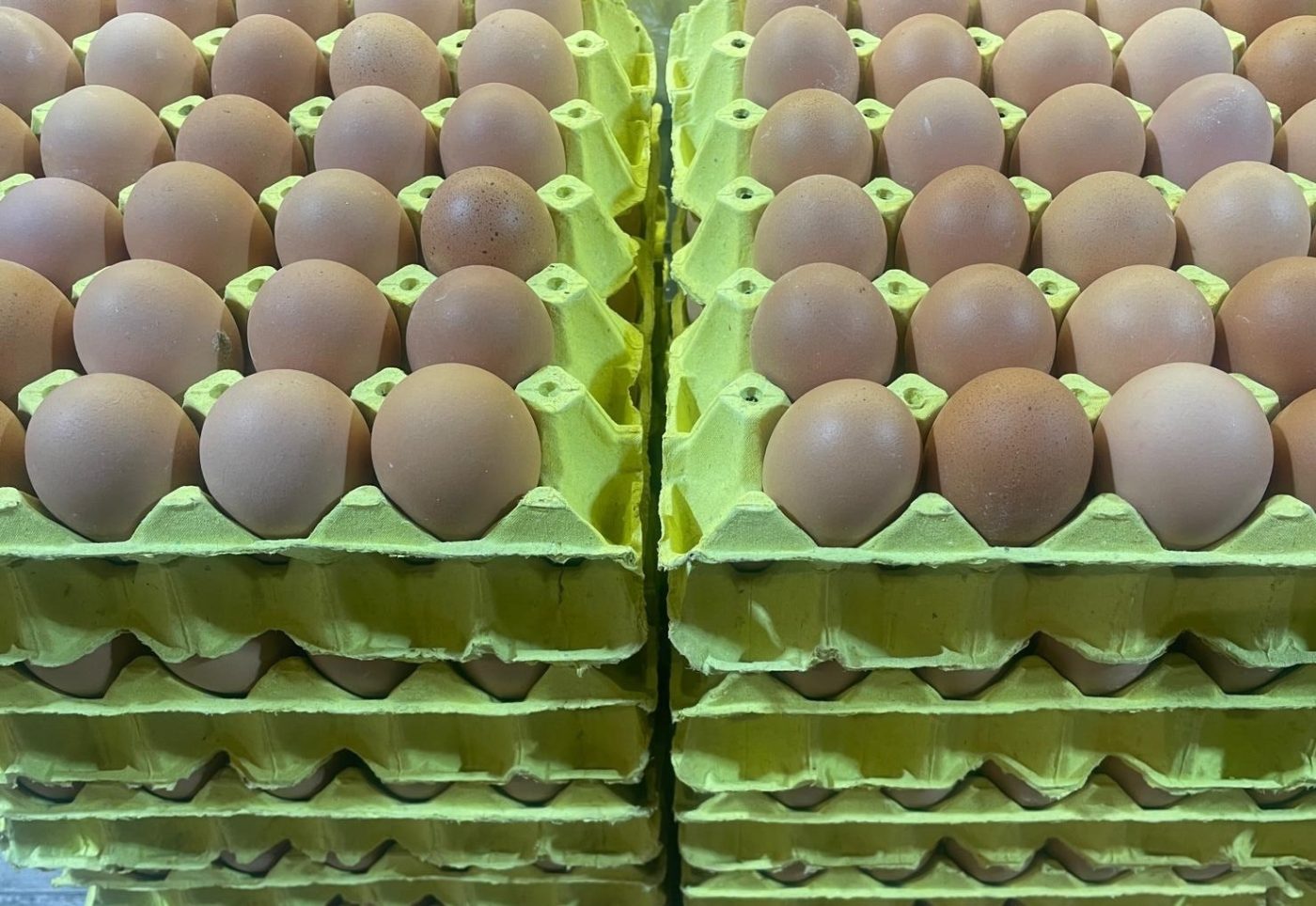 Bursa’da market ve şarküterilerde 30’lu kolisinin fiyatı 300 lirayı geçen
